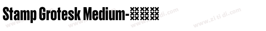 Stamp Grotesk Medium字体转换 Stamp Grotesk Medium字体转换